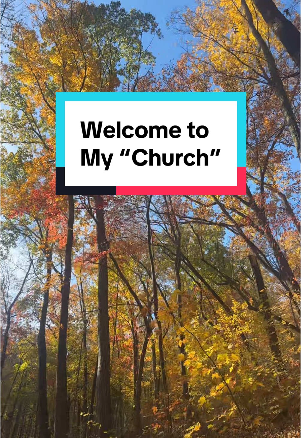 This is what my Sunday morning looks like. In my church, everyone is welcome.  #church #mychurch #Outdoors #inthewoods #outside #nature #mothernature #natureishealing #hike #Hiking #hikingwithdogs #boerboel #women #childhoodtrauma #religioustrauma #takemetochurch 