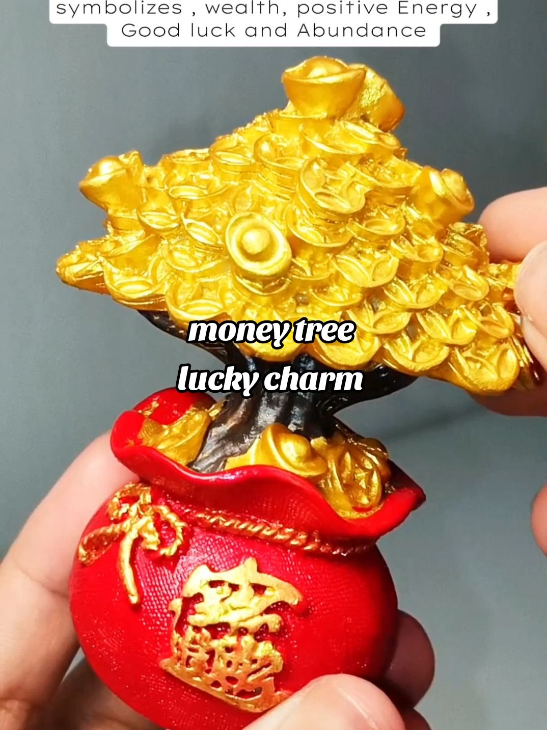 they says this money tree symbolize wealth positive Energy and Abundance,  #moneytree #luck #swerte #luckycharm #foryou #fypシ゚viral 