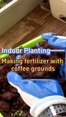 #indoorgarden #coffeegrounds #fertilizer #planttips #garden #plants #caretips#homegarden #planting #gardening101 #makingfertilizer #gardening 