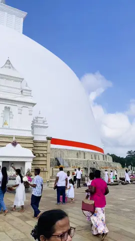 •|ස්වර්ණමාලී මහා සෑ රජාණන් වහන්සේ උදෙසා සිදු කරා වූ මෙ සියලු පුජාවන්ගෙන් රැස් වූ පුණ්‍යධර්මයන් පිං කැමති ඔබ සියලු දෙනා සතුටු සිතින් අනුමෝදන් වෙත්වා!! 🤍🪷  #ධර්ම_දානයක්ම_වේවා #රුවන්වැලිමහාසෑය #anuradhapura_sri_lanka🇱🇰 #viralvideos #foryou 