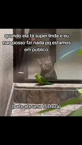 poxa amor #amor #carlinnkkkjk #fyp #foryou #namorada 