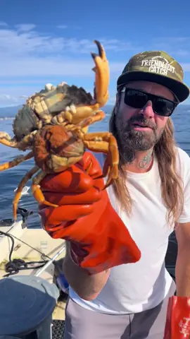 Barnacle Chronicles #crab #barnaclechronicles #asmr #friendliestcatch #seafood #rockhold #fishing #natgeo @DavidB 