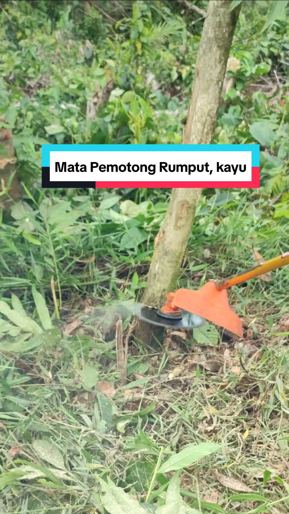 Cek di keranjang kuning ☝🏻 #mesinpemotongrumput #mata pisau mesin rumput cabang tiga #mesinpotongkayu #potongkayu #rumput #kayu #sawit #sawitontiktok #sawitbalap #sawitbersih #fyf #fyp #like #like❤️ 