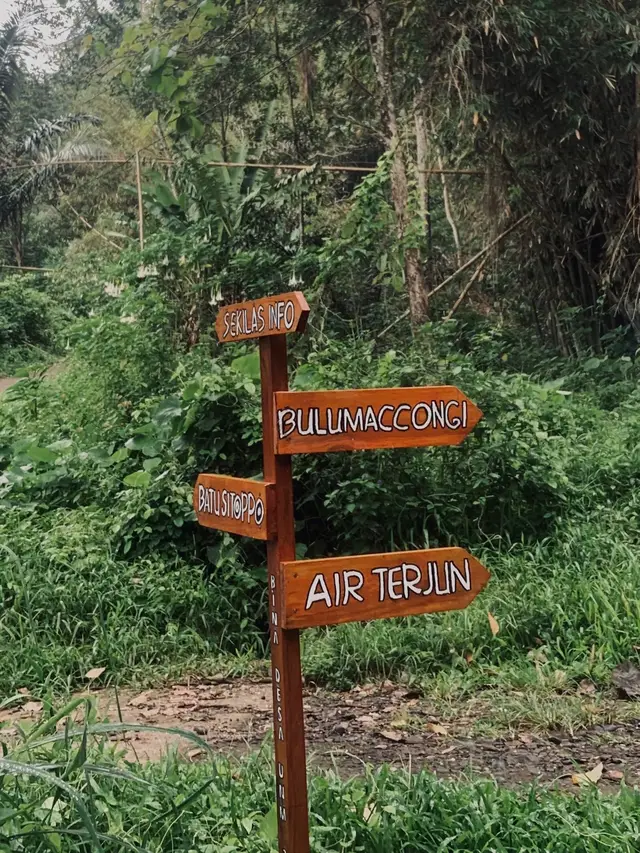 #macconggi960mdpl #cambamaros #pattirodeceng #solohiking #exploremaros #explore #tektokgunung 