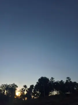 El Chicle - Koffee El Kafetero #champeta #cancion #letra #koffeeelkafetero #elchicle #champetacolombia #champetapalmundo #musica #paraella  #atardecer #lorica  #viralvideotiktok #costeño #yo #edinsonbello #colombia #🇨🇴 #🎶 