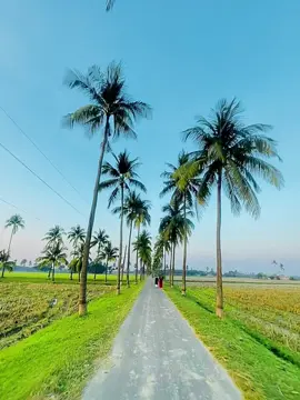 ভিডিওটা শেষ পর্য়ন্ত দেখুন 🙂🌿🌴 #প্রকৃতির_নেশা😇 #shipon_shekh_1k #প্রকৃতির_সৌন্দর্য🥰 #foryou #viral #tiktok #প্রকৃতিরভিউ @TikTok Bangladesh @TikTok 