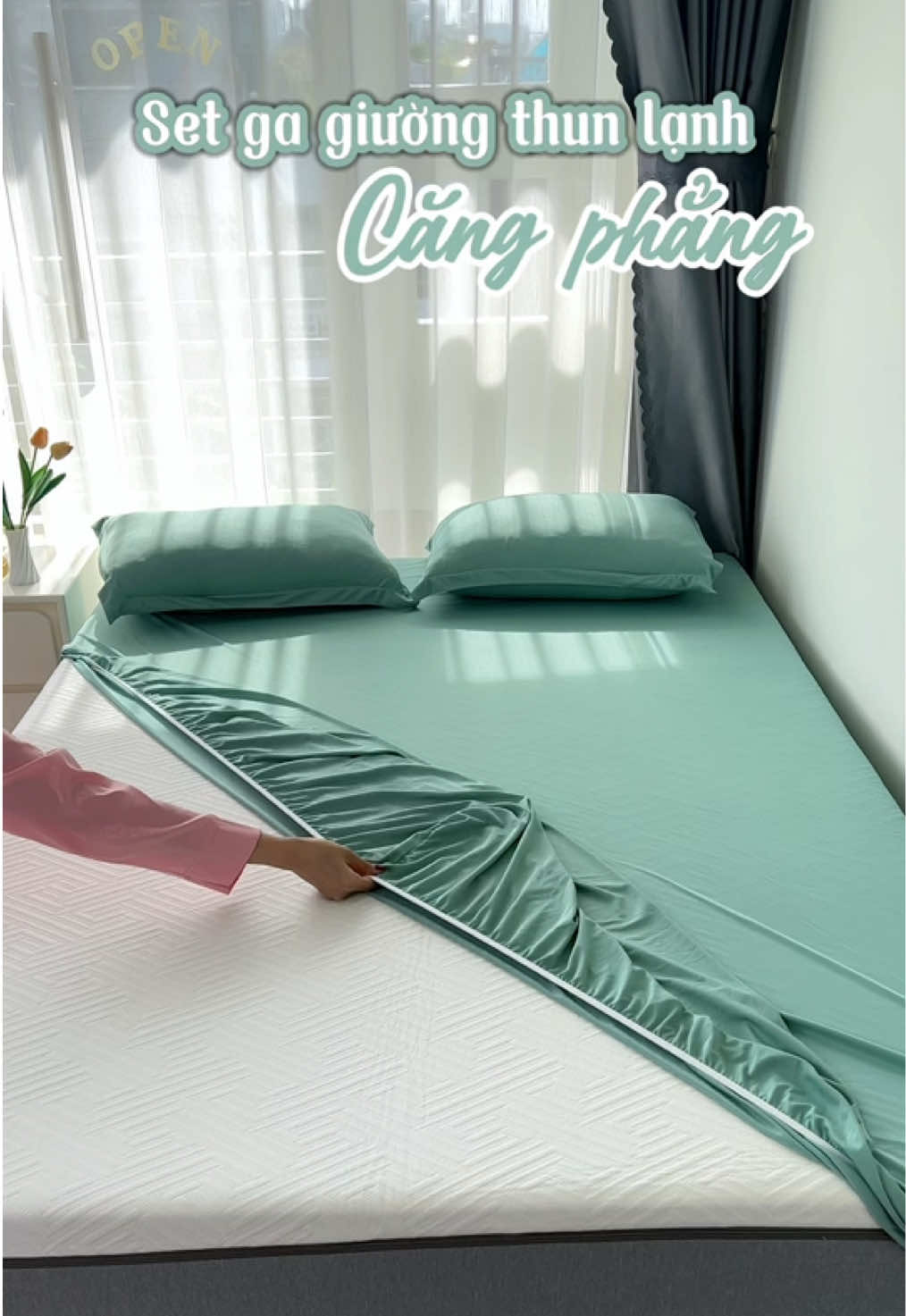 Đẹp bền mà chỉ 1xx cho cả set 4 món A102 #reebeeding #gagiuong #changagoi #bedding #gathunlanh #thunlanh 