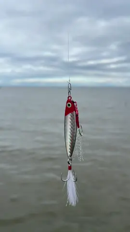 Metal Jigs #fyp #foryoupage #foryou #fypシ゚ #trending #trendingvideo #viral #trendingvideo #fishingjig #fishingbait #fishinglure #jigging 