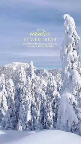Send this to someone youd want to go on a winter trip in Vancouver 🌨️🏔️ #vancouver #winterwonderland #Hiking 