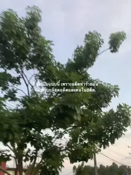 อดีตที่เจ็บปวด#ความรู้สึก 