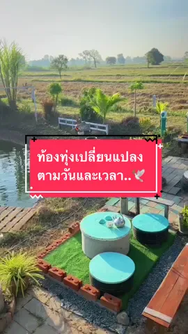 #สตอรี่ความรู้สึก #เกษตรผสมผสาน #เกษตรอินทรีย์ #โคกหนองนาโมเดล #วิวบ้านนอก🍃 #บ้านทุ่งรุ่งเรืองทรัพย์ 