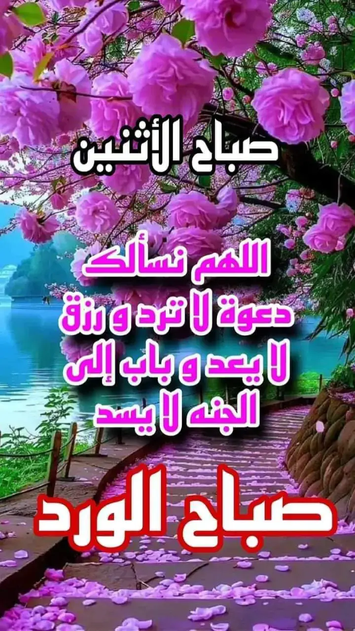 دعاء صباح  يوم الإثنين  🕌 🙏 🌹 ❤🌹🙏 🤲⚘️الََلََـّهّـّــ﷽ــمًً آآمًًيِِّّــــــــــــــــــــــــــيِِّّنِِ⚘️🤲 يــــــــــﷺـــــــارب آلعالمــــــﷺين 🤲دعوه صباحيه 📿🕌 🔹اللهم فى صباح هذا اليوم  قدراً جميلاً وخبراً جميلاً       ودعوهً مستجابه 🤲🏻 🔹اللهم أملأنا بسڪون النفس وطمأنينة القلب وراحة البال وجميل الستر وڪمال العافية🤲🏻 🔹 اللهُم ارح قلوبنا وعقولنا و أبعد عنا شتات التفڪير🤲🏻 🔹اللهم يسر امورنا وأبعد عنا مايقلقنا أنت عالم بالقلوب       وانت أعلم مافي قلوبنا ياربَ العالمين🤲🏻 🔹 اللهم ان ننتظر عوضڪ عما فات والجبر فيما هو أت🤲🏻  🔹ٲلََلََــﷻـــﷻــۿـہمًً آَْمًًٍْــــيََــــنَِِ يََـــــﷻـــــآربًً 🤲🏻اللهم ارزقنا قلباً خاشعاً خاضعاً ضارعاً ولساناً ذاكراً.... حامداً شاكراً.....                                             وبدناً صحيحاً...... وعافية دائمةً                                        ويقيناً صادقاً....... وتوبة نصوحاً وإيماناً صحيحاً ورزقاً حلالاً طيباً واسعاً وعلماً نافعاً.......... وخُلقاً حسناً.....                                              وعملاً صالحاً متقبلاً.... وشفاءاً من كل داء  اللهم اشف مرضانا.... وارحم موتانا....  وفرج همومنا وغمومنا.....  وصل اللهم وسلم على نبينا محمد ﷺ ❤وفي صباح يوم الاثنين🌼❤️ ‏اللهم اجعل المَحبة فِي نفوسِنا، والابتسامه فِي وجوهِنا، والسعَادة فِي بيوتنا، واجعَل ذكرك لا يفارقنا يارب 🤲🌺❤️ صباح الخيرات والمسرات 🌹#f #food #fypシ゚viral #fo #fo #fy #اللهمأمينياربالعالمين🤲🤲🤲 #لاحول_ولا_قوة_الا_بالله #صلى_على_رسول_الله_صل_الله_عليه_وسلم #_أسعد_الله_صباحڪم_بكل_خير #لاإله_لاانت_سبحانك_اني_كنت_من_الظالمين 