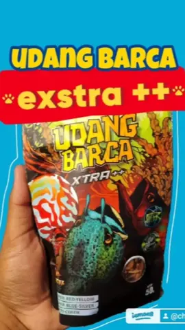 Udang Barca Xtra untuk pakan ikan predator ✅ #pakanikanpredator #udangbarcaxtra #elbarcafeed #ikanhiascakokek 