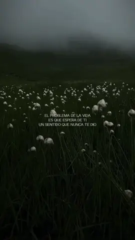 ¿Que te motiva a seguir de pie? #proposito #meta #motivation #exito #existencialismo #GlowUp #estoicismo #frasesmotivadoras #filosofia #viral_video #fyp #parati 