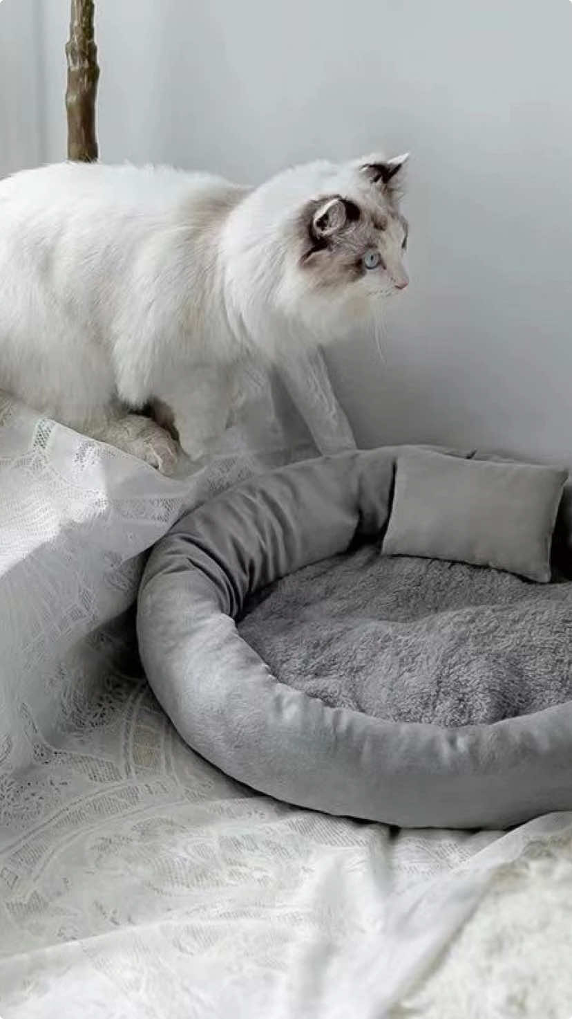 Ổ đệm thú cưng màu xám tiện lợi với thiết kế tháo rời, kèm gối mềm mại, ấm áp, mang đến giấc ngủ thoải mái cho chó mèo. Sản phẩm sử dụng lông mềm mại và ruột đệm từ sợi tổng hợp 3D, bền, không xẹp lún. Đáy vải chống thấm, chống trượt giúp giữ ổn định. Có thể giặt sạch, an toàn cho thú cưng. Có 4 kích thước, phù hợp cho thú cưng từ 2.5kg đến 7.5kg. #chamsocthucung #odemthucung 