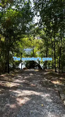 Перші дні в Небесній столиці Баратик Вуду @[含光君] тгк: Весняний Дім #tgcfcosplay #tgcf #tianguancifucosplay #tianguancifu天官赐福 #cosplay #shiqingxuan #shiqingxuancosplay #shiwudu #shiwuducosplay #shibrothers #windmaster #whatermaster #blackwaterarc 