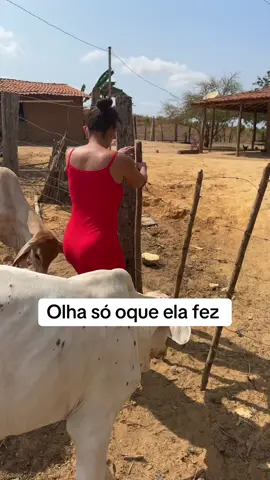 Colocando ração #registrodevida 