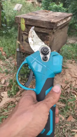 Làm cái về cắt móng chân bà con ơi !#nôngdanbacgiang #kéocatcanh 