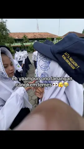 sopo kui#mengerikansekali 
