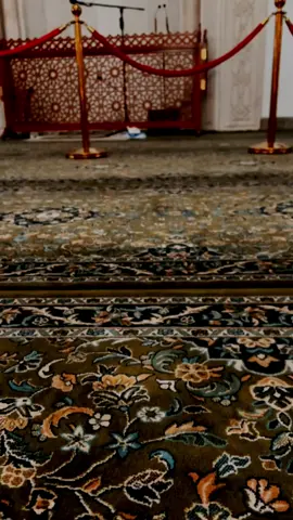 Madina kareem hay🫀  #fyp #naat #asthetic #islamicstatus #explorepage #growmyaccount #lyricsedit #islamicbeauty