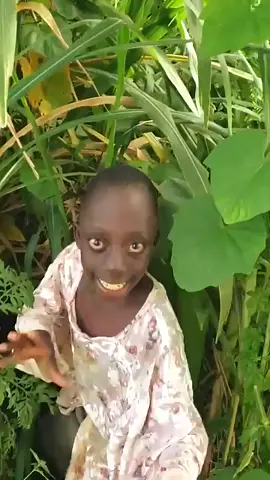 Tengerere is One of the most viral video Sound and Dance Moves of All Time Across the Globe 🌐. Big up @managermike1 who is behind the video so far.  @iamrangotengetege #Tengetengemedia#tengetenge #managermike #foryoupag #foryoupage❤️❤️ #fyp