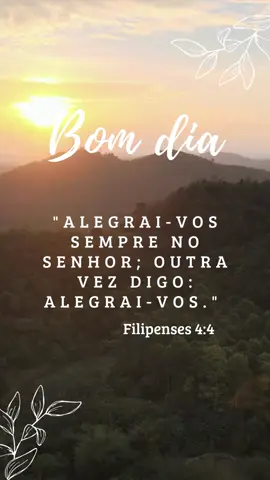 Filipenses 4:4 Bom dia 🙏🏽  #versiculosbiblicos #bomdia #cristao #Fé #jesus #deus #gratidao 