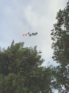 كـنتـي❤️‍🩹 #احمد_كمال #fyp #explore #musica #video #vairal #fouryou #اغاني_حزينه #اغاني #اغاني_حب #حزين #💔 #دعم_غروب #غروب @Ahmedkamelmusic #ahmedkamelmusic 