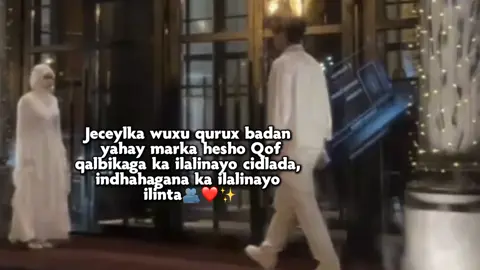 😍💔👍🏽#Deqsan✨🫂😚 #dunuyeyy😫🌸👸🏻 #queen🎀👑 #Deqsan✨🫂😚 #star✨🐳 #best_friends_forever_❤🌼 #Deqsan✨🫂😚 #queen🎀👑 #dunuyeyy😫🌸👸🏻 