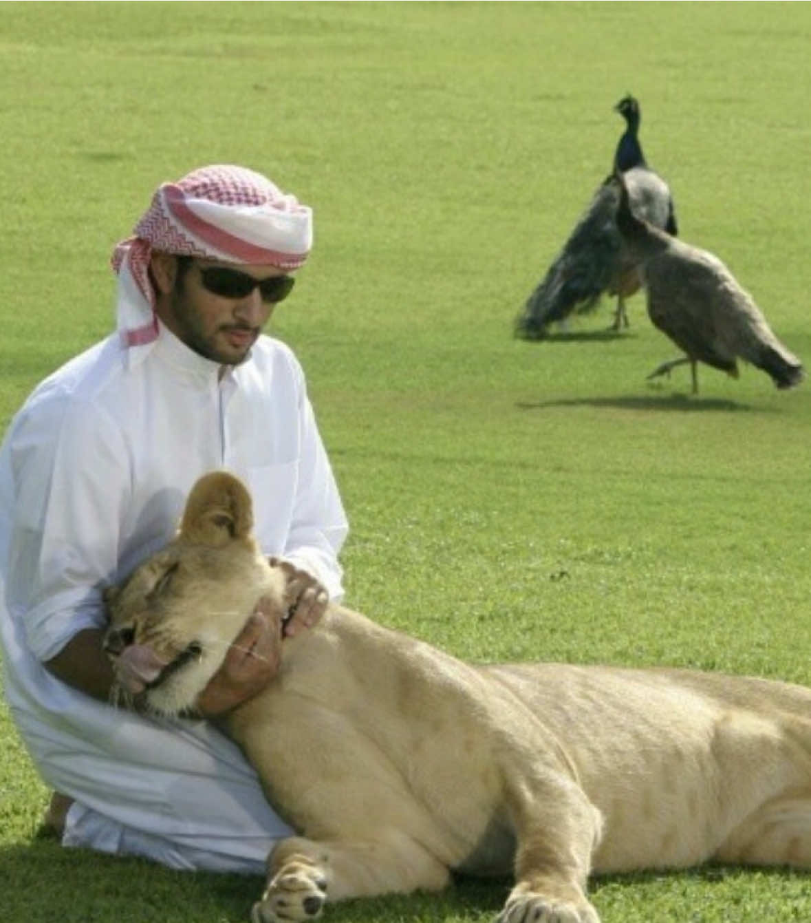 #hamdanbinmohammed #foryou #حمدان_فزاع 