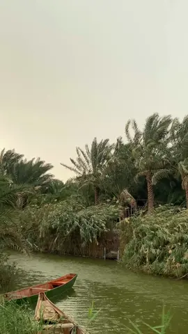 #شتاء #مطر #باسم #قظاء_المدينه #غيوم 