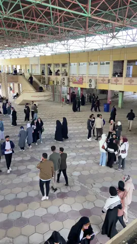 #جامعه_ميسان_التربيه_الاساسيه 