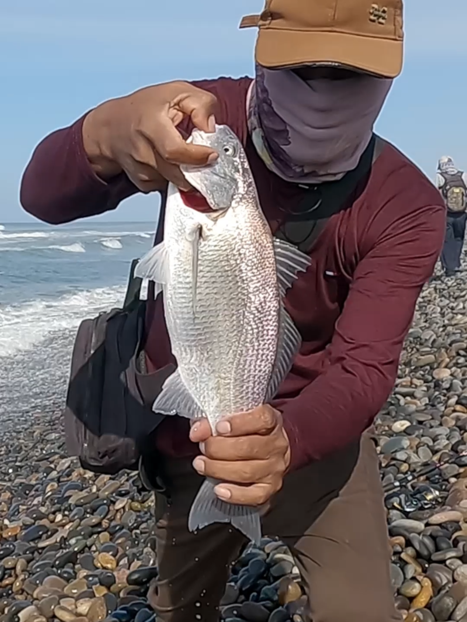 Un pescador apasionado utiliza señuelos de vinilo en la orilla del mar. Observa el momento lleno de emoción cuando logra atrapar increíbles peces en esta fascinante jornada de pesca.