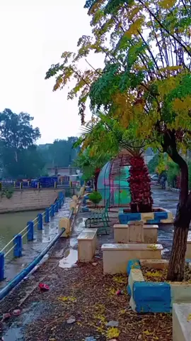 #fybシ #_tiktokindia #fybシ  #シ #🖤 #シ 