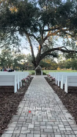 #weddingvenue #weddings #floridawedding #weddingcontentcreator #content #wed #newlyweds #florida 