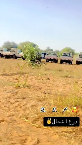 #قوات_الدعم_السريع🇸🇩 #جاهزيه_سرعه_حسم🔥✊🥀#الشهداء_لا_يموتون_بل_يخلدهم_التاريخ🇮🇶 