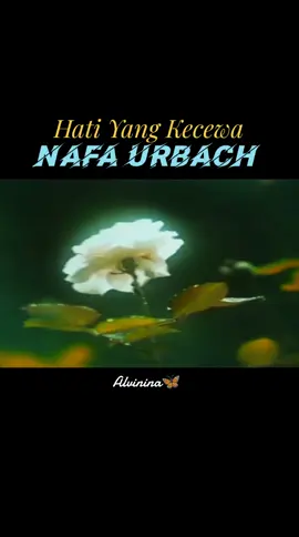 Hati Yang Kecewa#nafaurbach#laguindonesia #lagufyp 