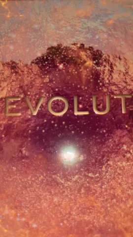 Check out this beautiful pallet from Revolution I was kindly gifted for being an ambassador on their RevGen  community.  Revolution Forever Flawless Eyeshadow Palette Bronze   ✨Temptation✨ The pigmentation in this pallet is unreal.   There are 18 different shades to choose from  ranging from shimmers to matte finish.  The rich gold & bronzed colours are perfect for day & evening looks!  And will make any makeup look complete.    This week they have an amazing Cyber week deals  and this pallet is down in the SALE!  If you want to purchase this pallet, or anything Revolution  use my link below ⬇️  🔗 https://community.revolutionbeauty.com/s/kkrrc321   🔗  also in my bio xxx #RevGen #makeuprevolution  #ad #gifted #revolution #makeup #makeupaddict #makeuplover #eyeshadow #eyeshadowpallete #new #newmakeup #shimmeringeyeshadow #matteshadows #foreverflawless #temptation #cybermonday #cyberweek #sale #makeuplook #newmakeup #Ad #fyp #fy #musthaves #makeupmusthaves @Makeup Revolution @makeuprevolutionfrance  #CapCut 