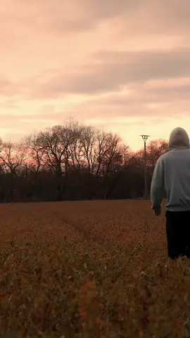 ... #focused #explore #discipline #viral_video #foryou 