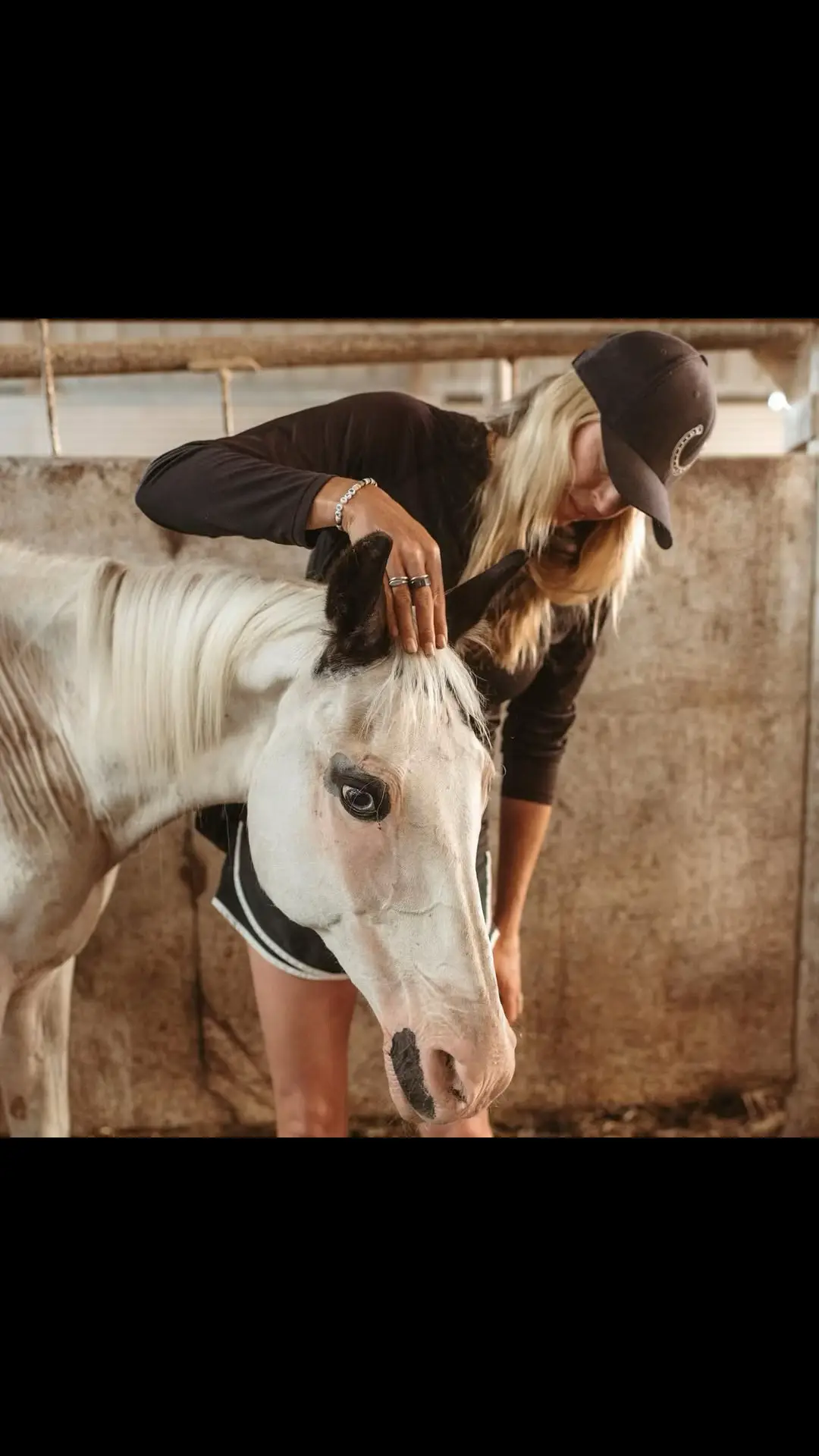 ASIAB is my passion. My heart. My family. My friends. The hardest thing l've ever done in my entire life. Everyone always wants to feel like they are 'doing something' — I hope that you, in supporting us, FEEL THAT. Together, in passion, we are creating something really beautiful for the horses so that they don't have to be subjected to what they are and go through anymore. It will come. It WILL happen. Love is Passion is Determination is failure is not an option  #horselovers #horse #horses #horsesofinstagram #horseriding #equestrian #equestrianlife #horselove #horselife #horselover #equine #horsepower #horseoftheday #horseofinstagram #horsebackriding #dressage #instahorse #horserider #showjumping #cheval #horsemanship #horsegirl #caballos #horseworld #horseaddict #horseshow #horsestagram #pferd #horse 