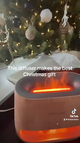 #creatorsearchinsights this diffuser makes the best gift