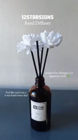 12StarSigns Reed Diffuser Perfume Scent Home Fragrance For Bath Air Freshener Birthday Gift Souvenir ##fyp##fypシ##12starsignsreeddiffuser##12starsigns##viralvideo##viraltiktok##fypシ゚viral##fyppppppppppppppppppppppp##sale