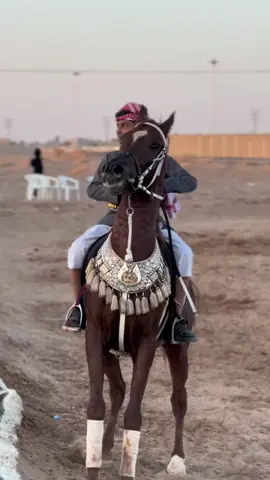 #يزن_العطوي #اكسبلورexplore #اكسبلوررررر #المملكه_العربيه_السعوديه #تبوك #بني_عطيه #سياحة_السعودية #خيل_وخياله🐎 