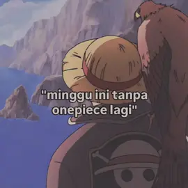 kelamaan hiatusnya..#CapCut #animeedit #animefyp #onepiece #onepieceanime #wanpis #fyp 