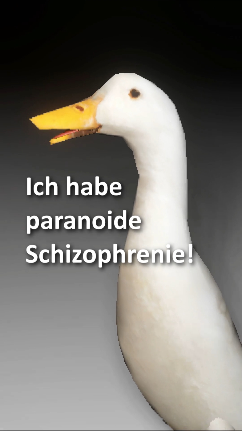 Ente in Therapie #fyp #deutschememes #duck #ente #versicherung 