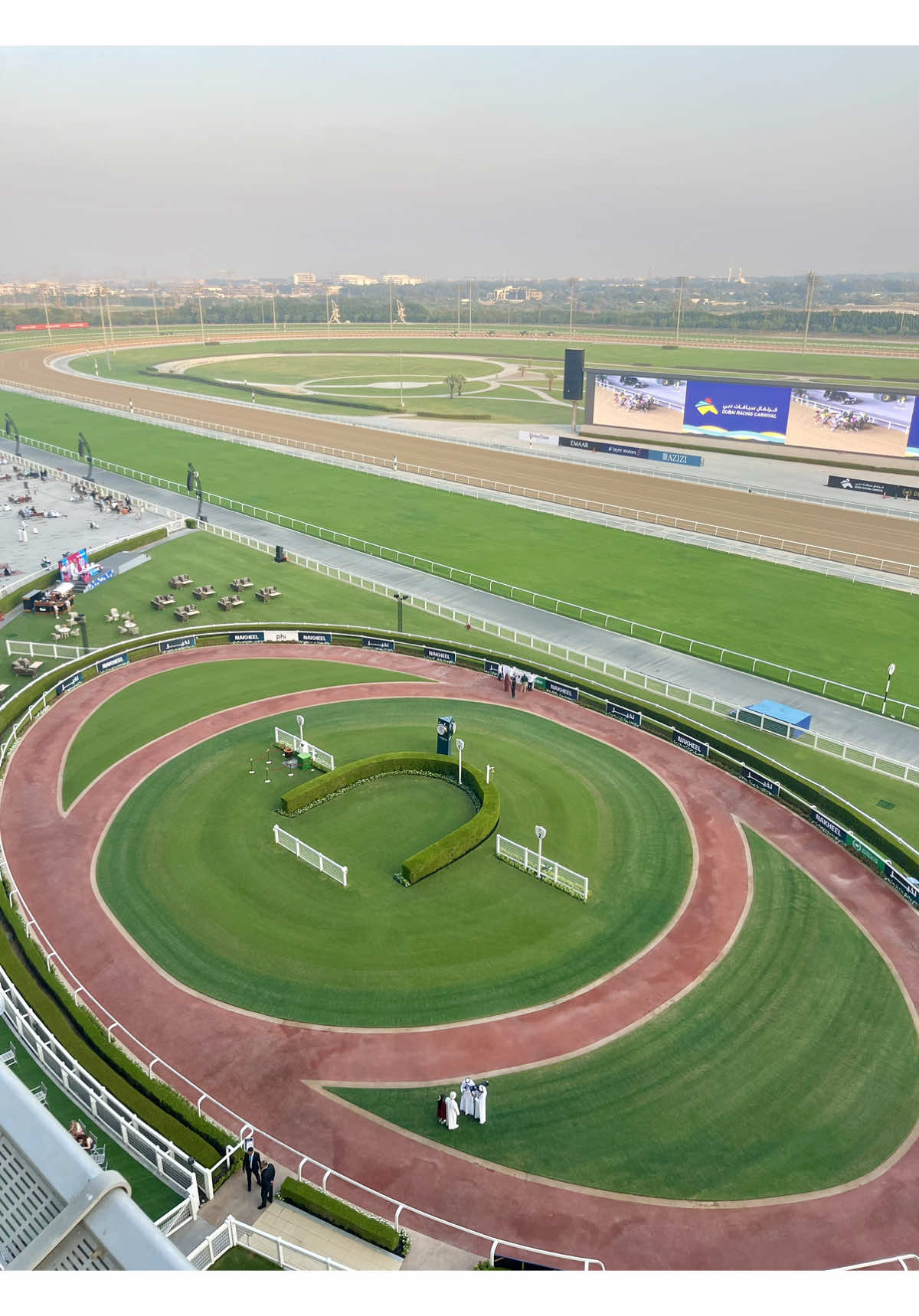 📍Meydan Racecourse 🏇 #HorseRacing #WinningHorse #DubaiHorseRacing 