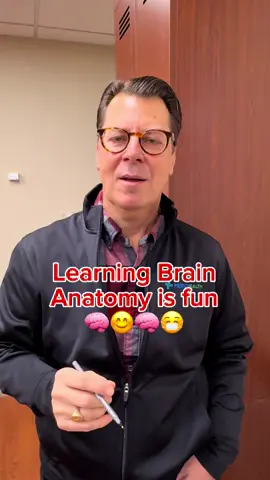 Learn about the Brain from a Neurosurgeon #anatomy #learningisfun #medicalfacts #medicalstudent #doctor #physicianassistant 