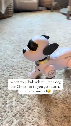 Hahaa my daughter is going to love it and it wont poop on my floor🤣🙌🏻 #robotdog #toysforkids #christmasgiftideas 