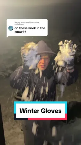 Replying to @moviefilmdude Waterproof, Touchscreen, Heated Winter Gloves 2 Pack #wintergloves #gloves #touchscreengloves #waterproofgloves #coldweathergloves #tiktokshopblackfridaydeals #tiktokshopcybermonday #tiktokshopholidayhaul #tiktokshopblackfriday