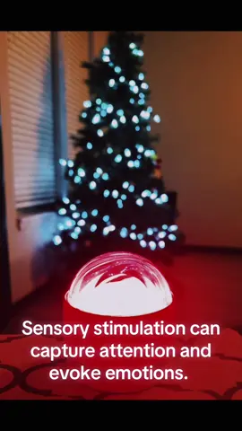 Light therapy, but also so pretty and fun to have in the house. #ADHD #sensory #sensorytoys #LED #ledlights #christmastiktok #christmastok #giftideas #tiktokmademebuyit #tiktokviral #christmasgift #tiktoksales #tiktokdeals #tiktokblackfridaysale #tiktokblackfriday 