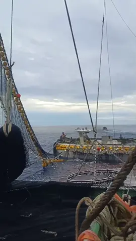 aku di pihak mu kok🥰 semangat ngeeh #perantau 